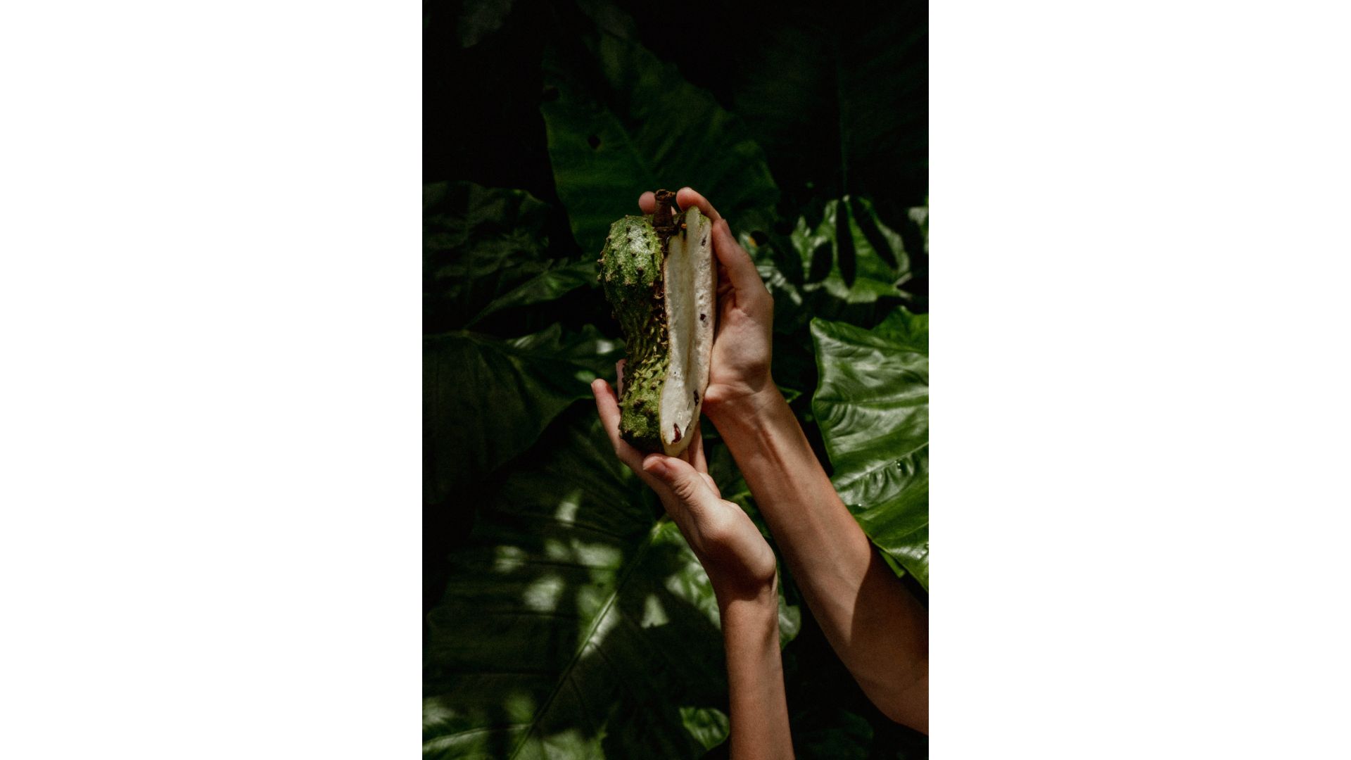 lợi ích của trà mãng cầu